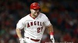 LAA 트라웃, 부상서 6일 만에 복귀… TEX전 2번-DH 선발