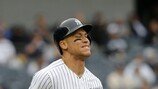 뉴욕 양키스, 벌써 13명 째 IL행… ‘저지 왼 복사근 염좌’