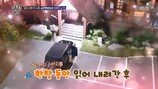 김승현 예비 신부 미모 보니→프로포즈 공개