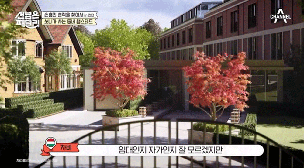 손흥민, 거주하는 런던 부촌 아파트…자가 130억·월세 1억