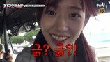 ‘나영식 PD 긁? 긁?’ 안유진 광기…“관두고픈자 속출” (지락실3)