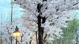 박은빈 맞아? 확 달라졌네… 몰라볼 뻔