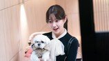 이유비 뭐하나 봤더니…말티즈와 상큼 터졌네 (유미3)