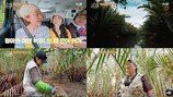 박준면 10kg 감량 대박, 얼굴 확 달라졌다 (산지직송)