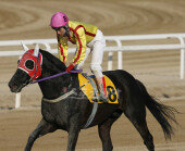 [포토] 스포츠동아배 우승한 ‘8번마’