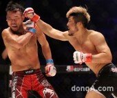 [동아포토]‘로드FC’ 권아솔-이광희 난타전