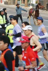 [동아포토]"말 달리자'