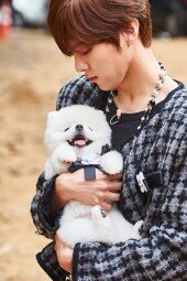 [DA포토]김우석, 빛나는 개화보