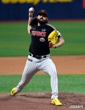 켈리, 승리는 나만 믿어~