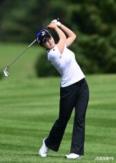 김재희, 그린 노리고