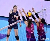 와일러, 정확하게