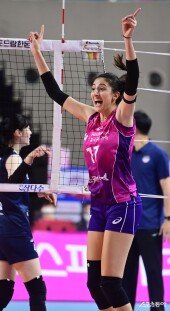 투트쿠, 쫓아가자!