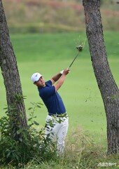 김주형, 나무 사이에서