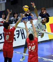 파즐리 ‘큰 키를 활용한 공격’