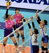 피치, 살짝 넘겨볼까~