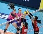 피치, 말총머리 휘날리며