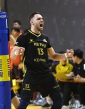 포효하는 비예나