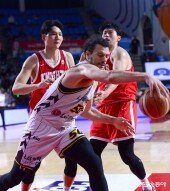 마레이 ‘이리와’