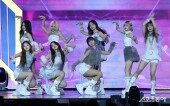 디어워즈 실버라벨 유니스, 화사한 나비처럼~