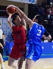 사키, 무조건 넣는다