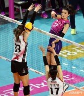 투트쿠, 요건 몰랐지~