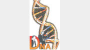 [자연과학]'DNA 생명의 비밀'…인류, 생명의 열쇠 손에 쥐다