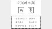 [한자 뿌리읽기]자(自)와 코(鼻)