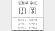 [한자 뿌리읽기]질(桎)과 곡(梏)