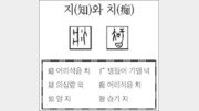 [한자 뿌리읽기]지(知)와 치(痴)