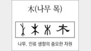 [한자 뿌리읽기]木(나무 목)