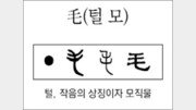 [한자 뿌리읽기]毛(털 모)