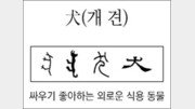 [한자 뿌리읽기]犬(개 견)