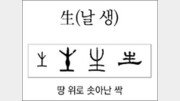 [한자 뿌리읽기]生(날 생)