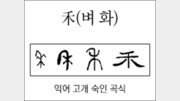 [한자 뿌리읽기]禾(벼 화)