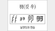 [한자 뿌리읽기]羽(깃 우)