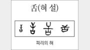 [한자 뿌리읽기]舌(혀 설)