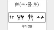 [한자 뿌리읽기]艸(풀 초)