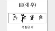 [漢字 뿌리 읽기]추(새 추)