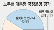 [여론조사/창간특집]차기 대선후보 선호도