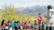 [김화성 스포츠전문기자의 &joy]구례 산수유마을 트레킹