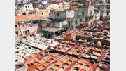  Living with the Past. Fes, Morocco