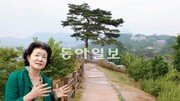 [동네 길 명품 길]신달자 시인의 서울 종로구 문학둘레길