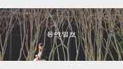 [포토 에세이]봄 햇살은 나뭇가지 사이로 흐르고…