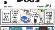 [스노 볼링 독스]6월 3일