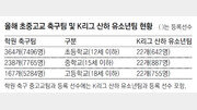 [이종석 기자의 온사이드]U-17 월드컵 열기, 학원축구 소외될라