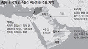 사우디 vs 이란 ‘포스트 IS’ 주도권 다툼… 중동에 다시 戰雲