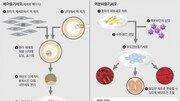 원하는 조직 세포 맘대로 복제… ‘불로장생’ 넘본다