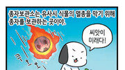 [고독이의 토막상식]종자보관소