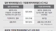 ‘금산 분리’에 발묶인 CVC… “혁신기업 육성, 규제 틀 벗어나야”[인사이드&인사이트]