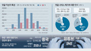 정비가 시급한 댓글 문화[윤희웅의 SNS 민심]